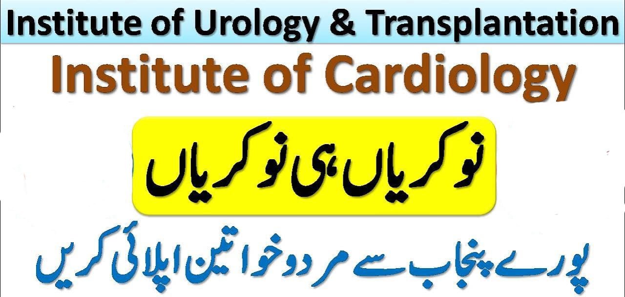 Institute Of Urology And Transplantation Rawalpindi Jobs October 2022