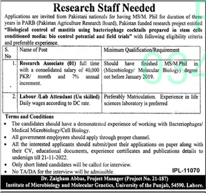 Government Pakistan Jobs Online Apply – Punjab Agricultural Research Board PARB Jobs 2022