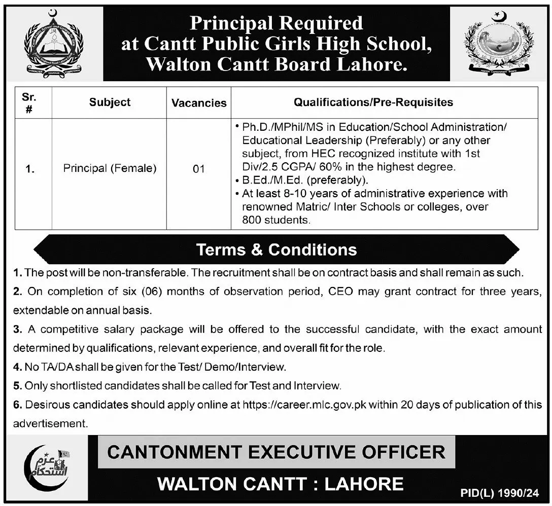 Cantt Public High School Lahore Job