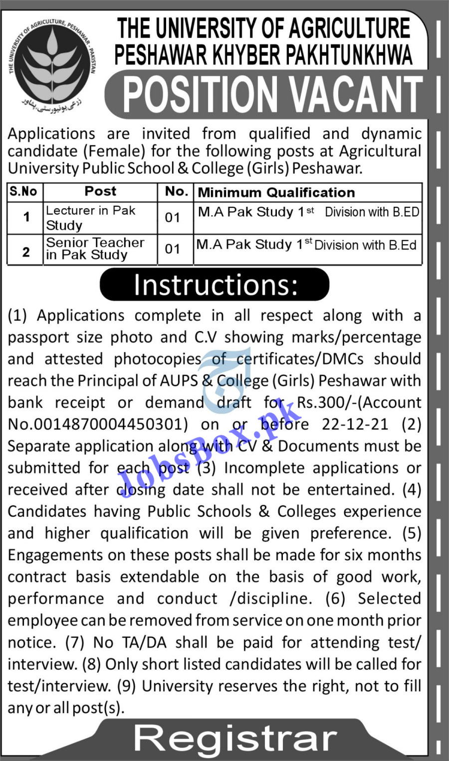 Agricultural University Public School & College Peshawar Jobs 2021