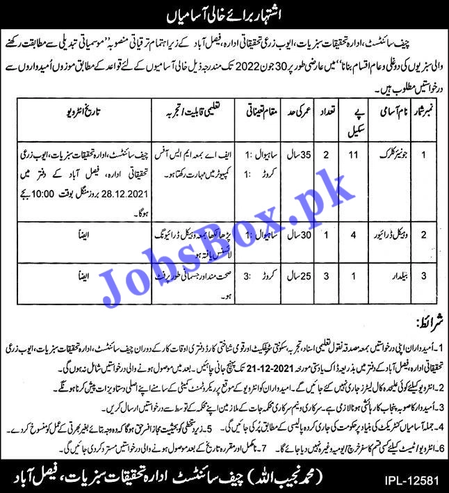 Ayub Agricultural Research Institute Faisalabad Jobs 2021