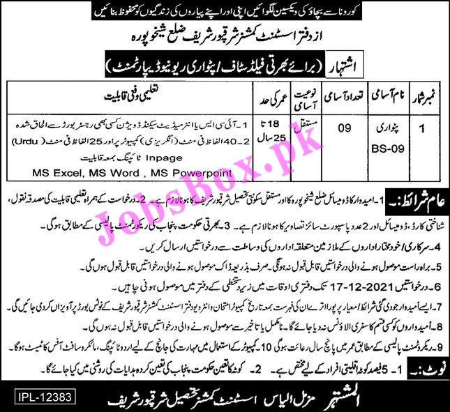 Jobs in Sheikhupura Assistant Commissioner Office