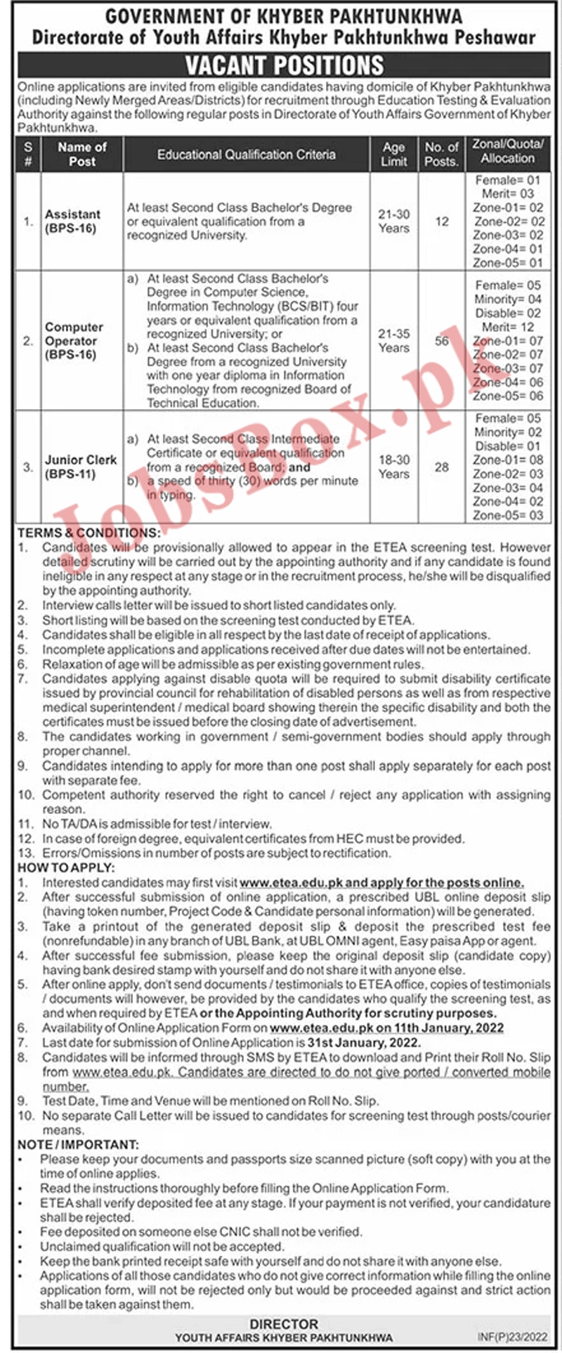 Directorate of Youth Affairs KPK Jobs 2022