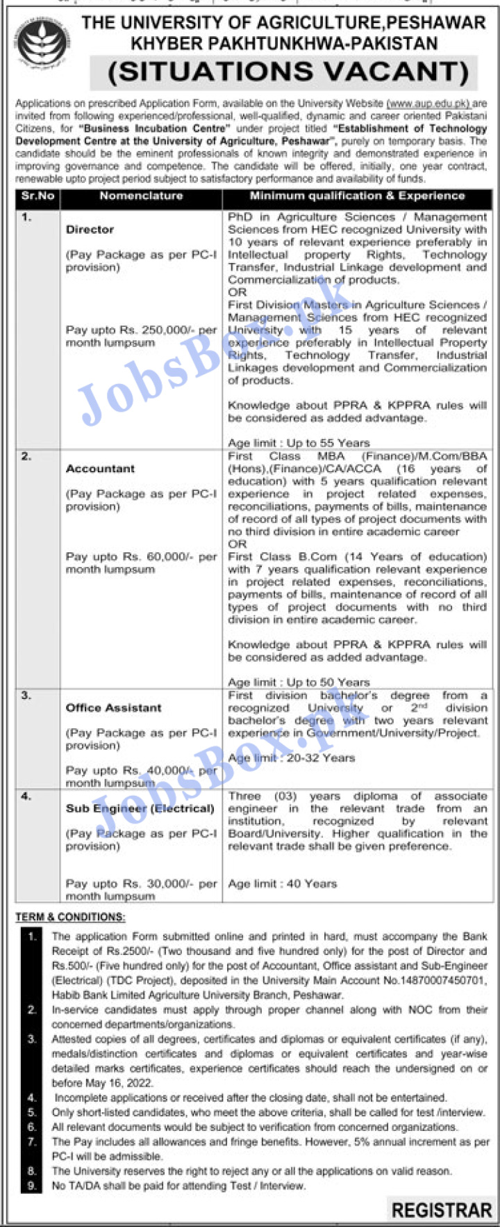 University of Agriculture Peshawar Jobs 2022 Download Form