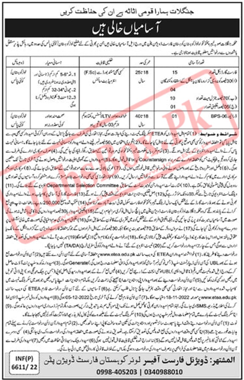 Kohistan Lower Forest Division Pattan Jobs 2022 - ETEA Online Apply