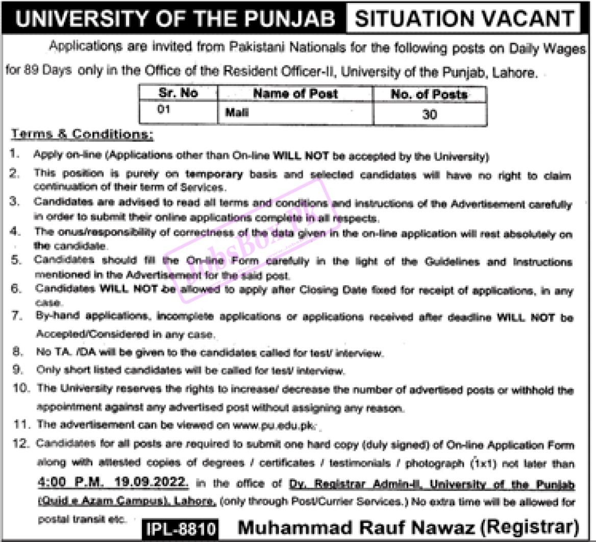 Mali Jobs 2022 at Punjab University PU Lahore