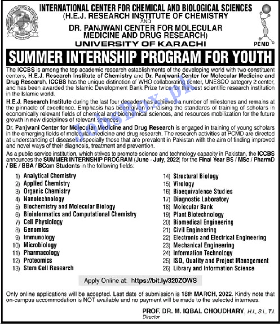 University of Karachi Summer Internship Program for Youth 2022