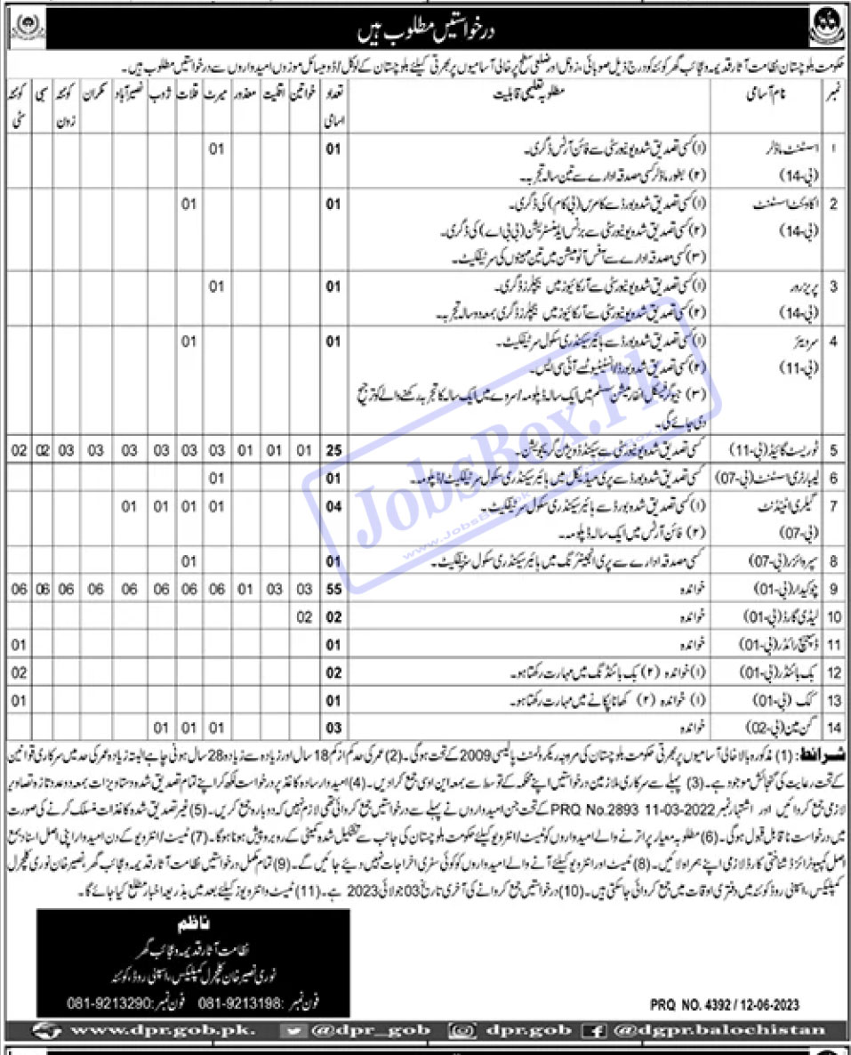 Directorate of Archaeology & Museums Balochistan Jobs 2023