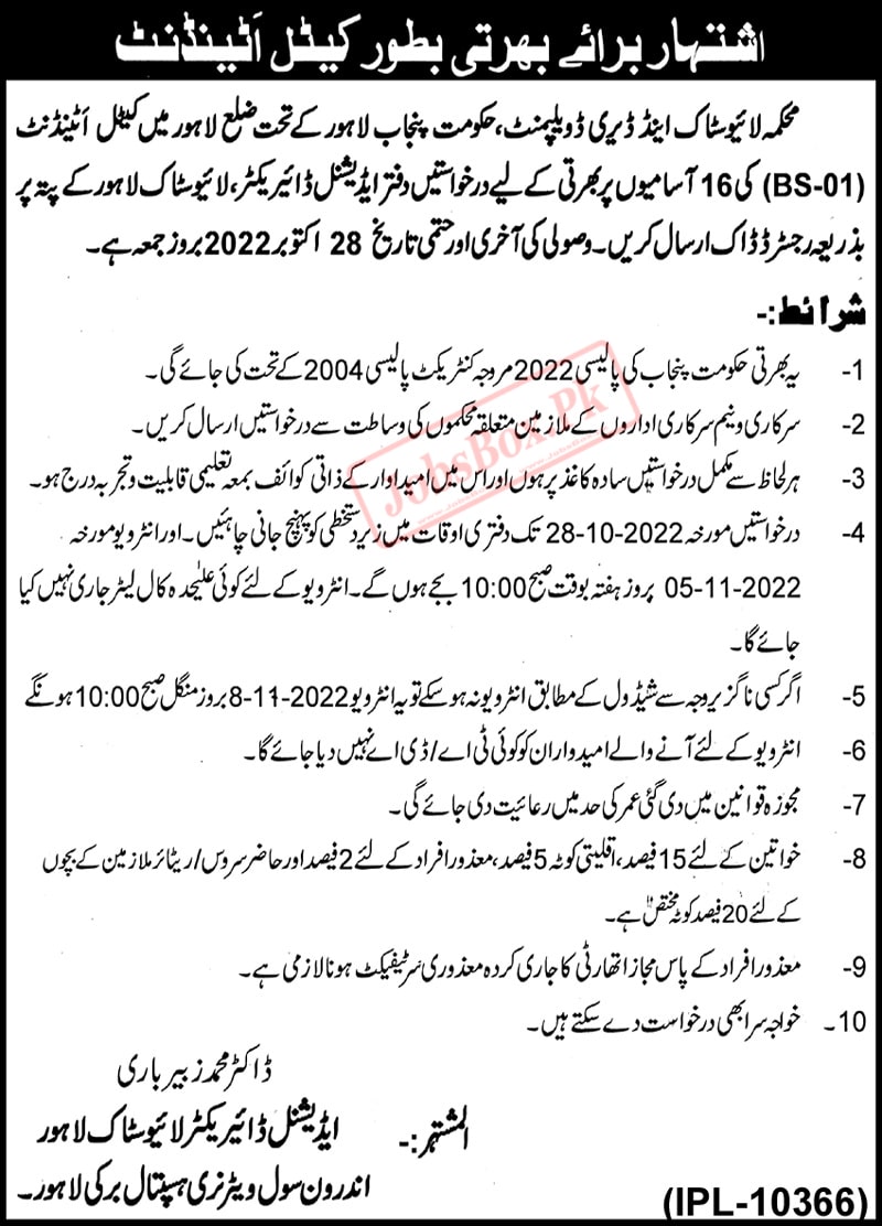 Livestock and Dairy Development Department Punjab Jobs October 2022