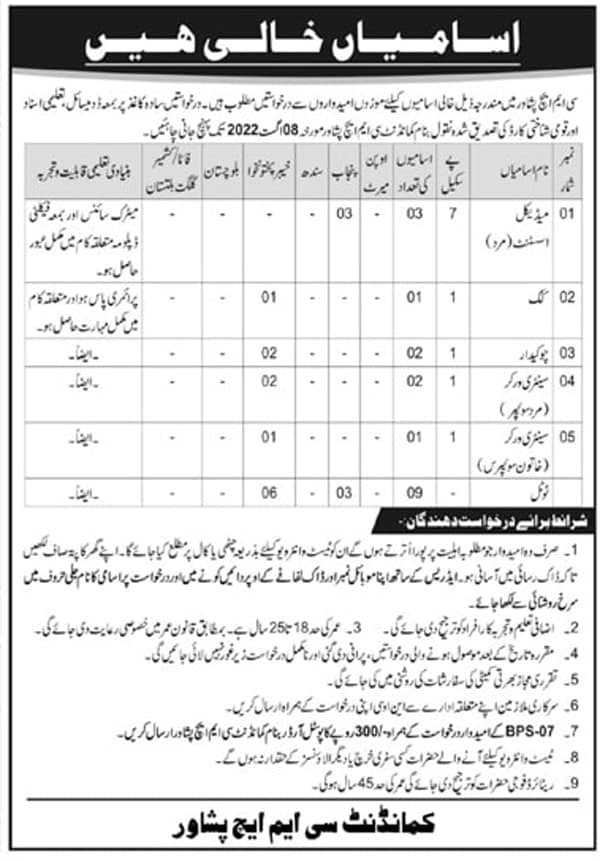 CMH Peshawar Jobs 2022 - Combined Military Hospital Careers