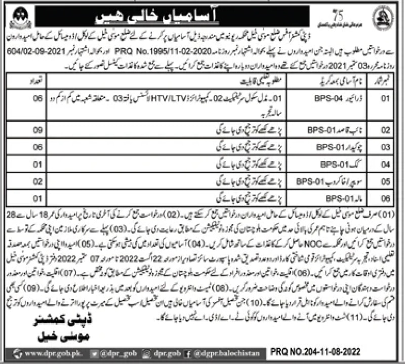 Deputy Commissioner Office Musakhail Jobs 2022