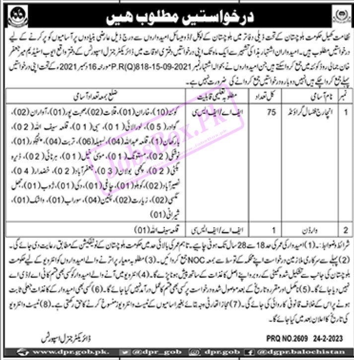 Directorate of Sports Balochistan Jobs 2023 Application Form