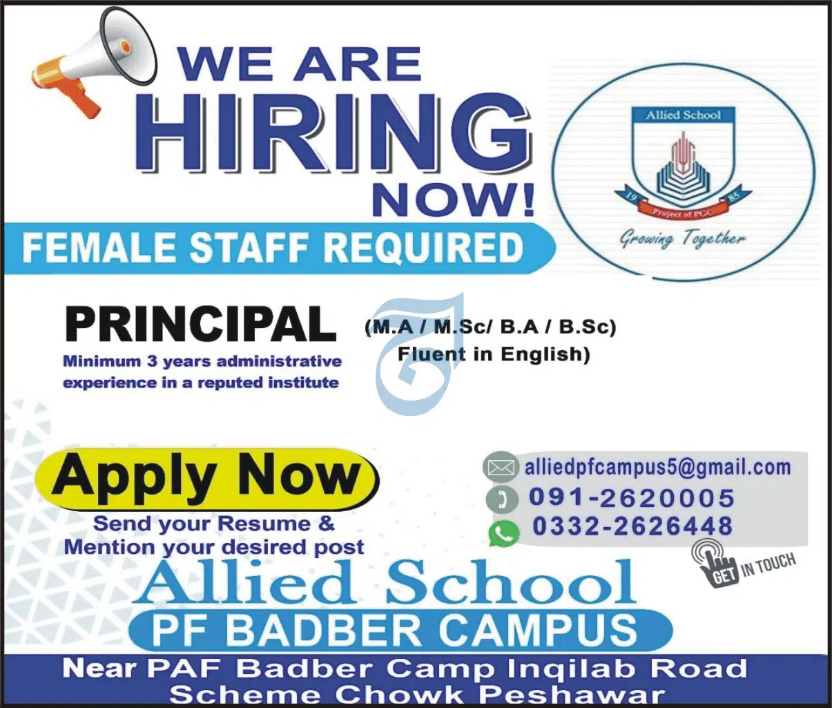 Principal Required at Allied School Badber Campus Peshawar