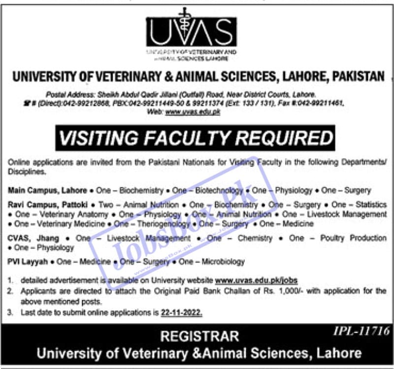 UVAS Jobs 2022 Announcement for Visiting Faculty