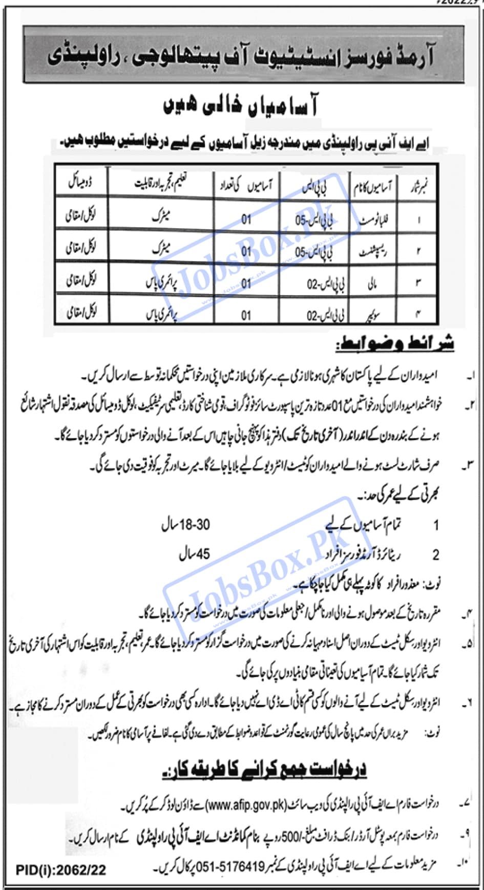 Armed Forces Institute of Pathology AFIP Rawalpindi Jobs 2022