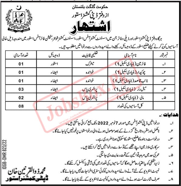 Deputy Commissioner Office Astore Jobs 2022