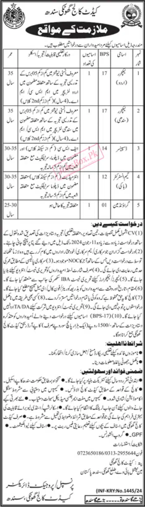 Lecturers Jobs in Cadet College Ghotki