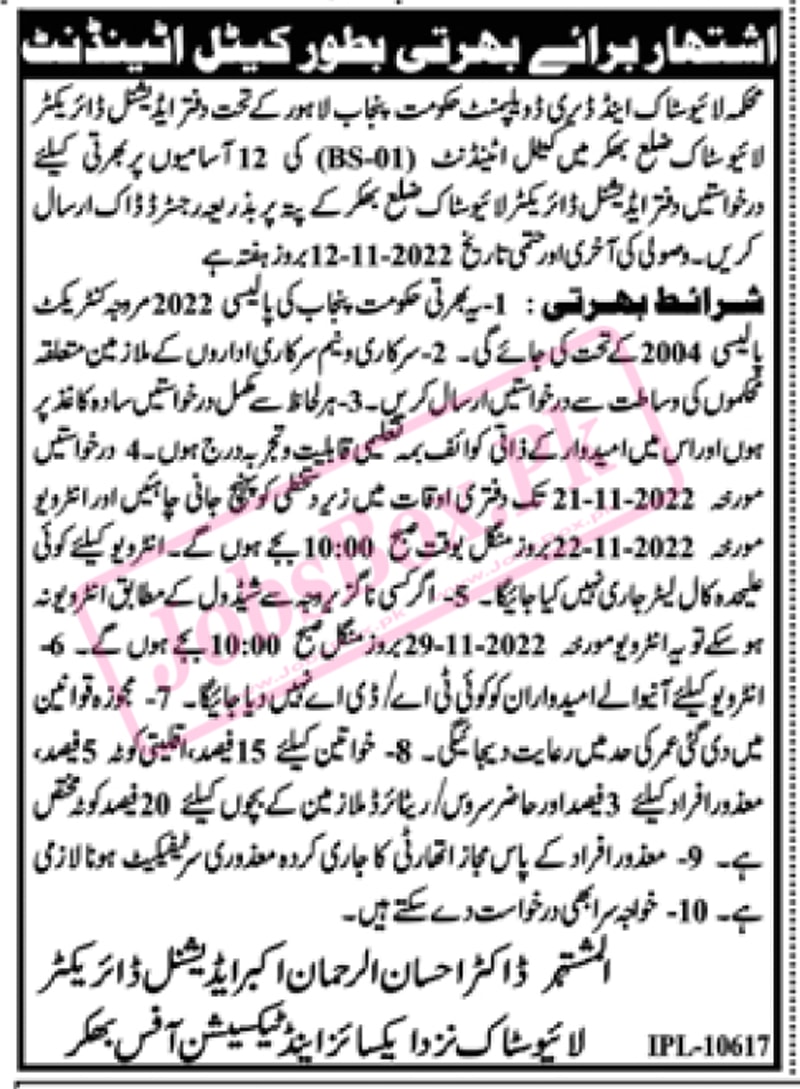 Livestock Bhakkar Cattle Attendant Jobs