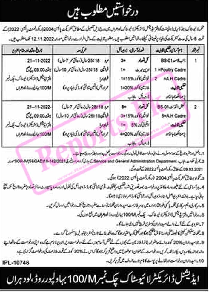 Livestock District Lodhran Jobs