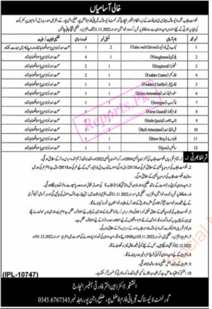 Livestock Experimental Form Fazilpur Jobs