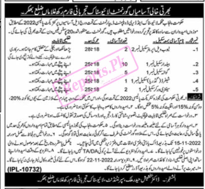 Livestock Form Bhakkar Jobs