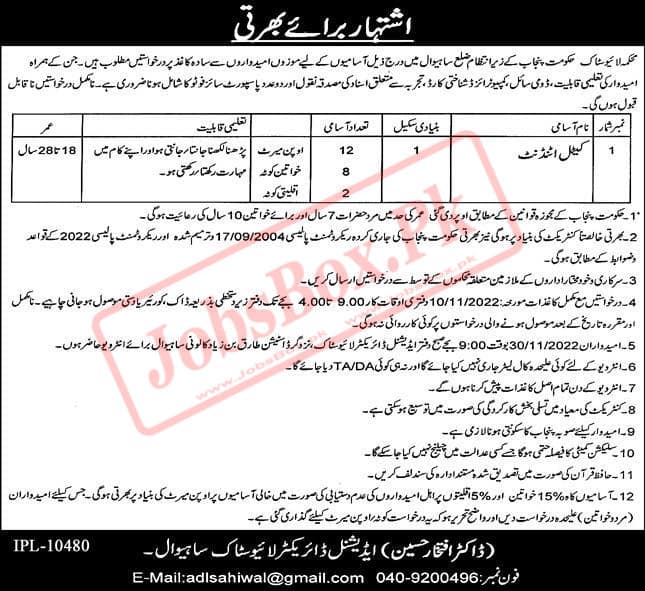 Livestock and Dairy Development Department Punjab Jobs | Cattle Attendants Recruitment