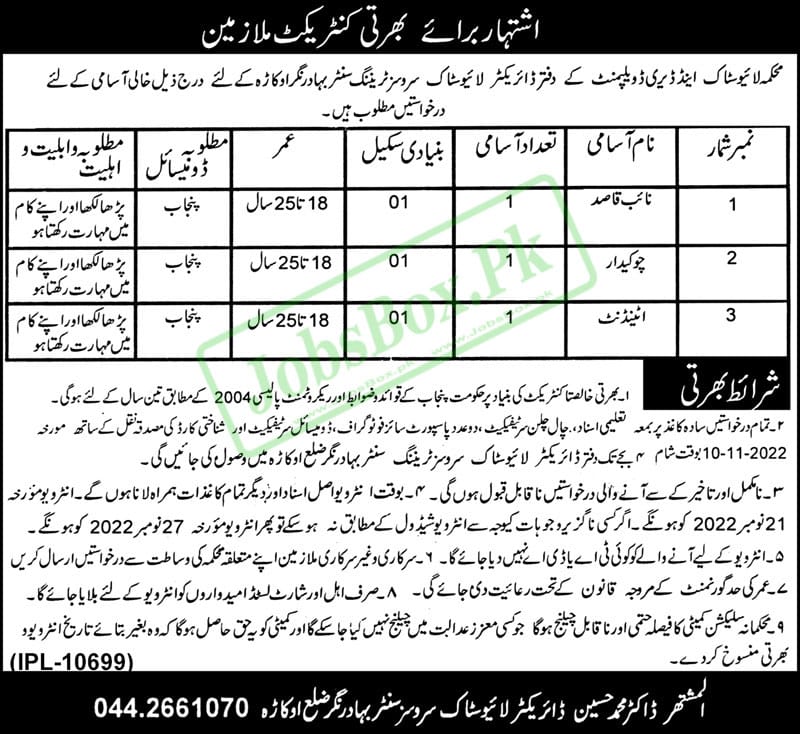 Livestock and Dairy Development Okara Jobs