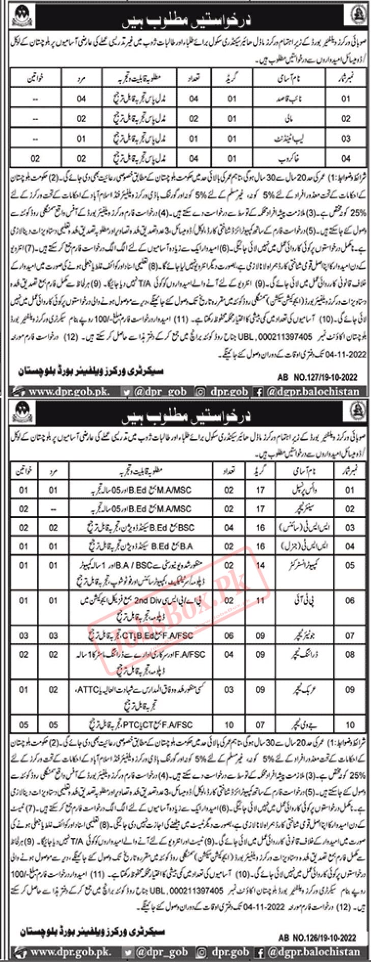 Workers Model Higher Secondary School Zhob Jobs 2022