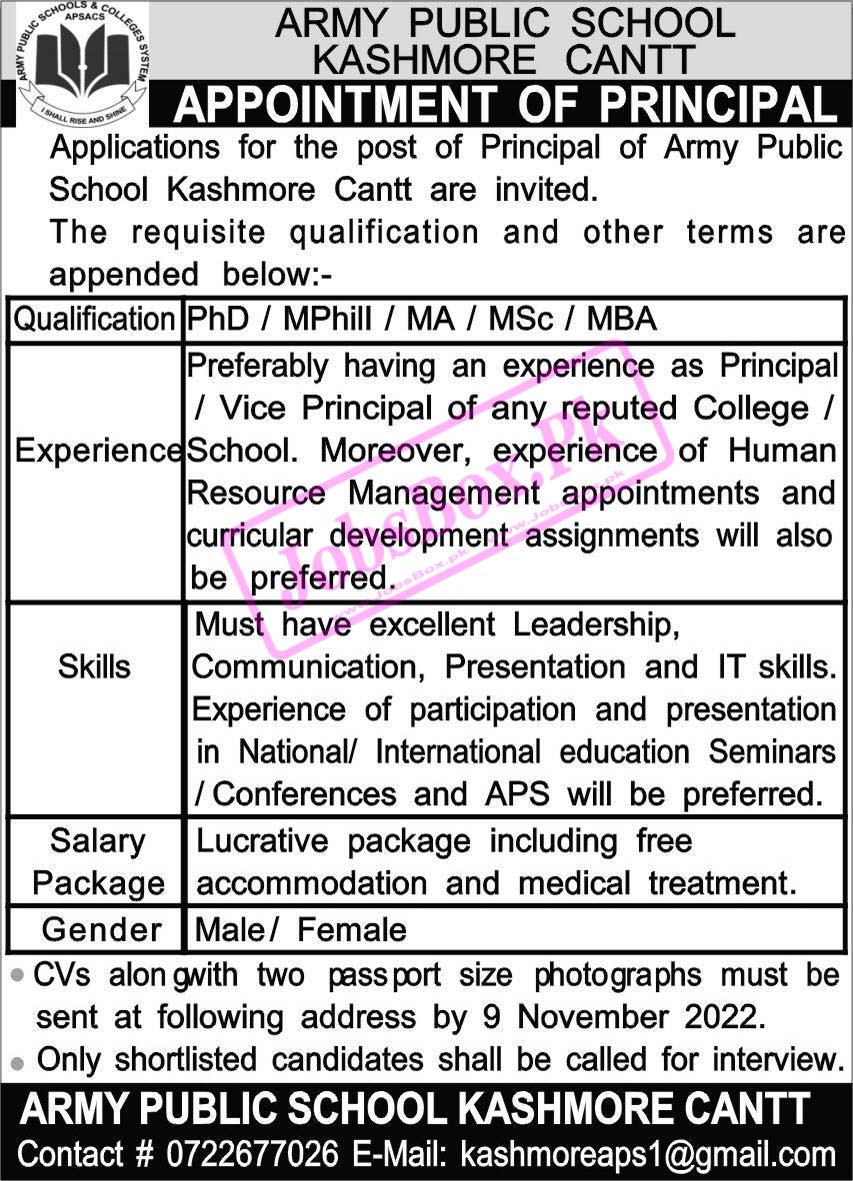 Army Public School Kashmore Cantt Jobs 2022