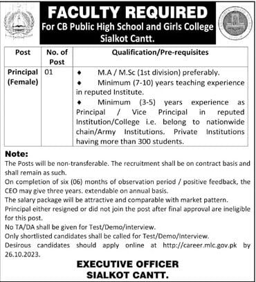 CB Public High School and Girls College Jobs