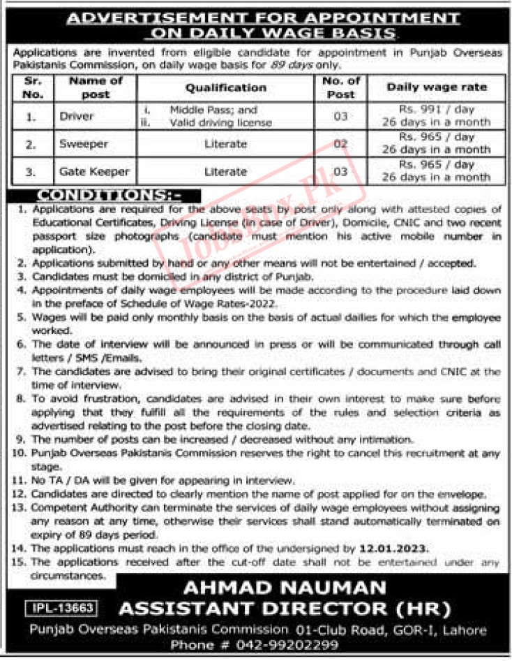 Overseas Pakistanis Commission Punjab Jobs 2023