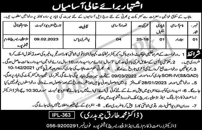 Mandi Bahauding Agriculture Department Jobs