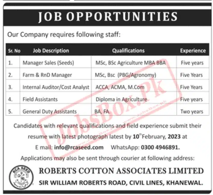 Roberts Cotton Associates Limited Khanewal Jobs 2023
