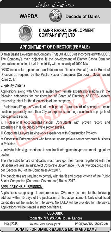 Diamer Basha Development Company Jobs 2023