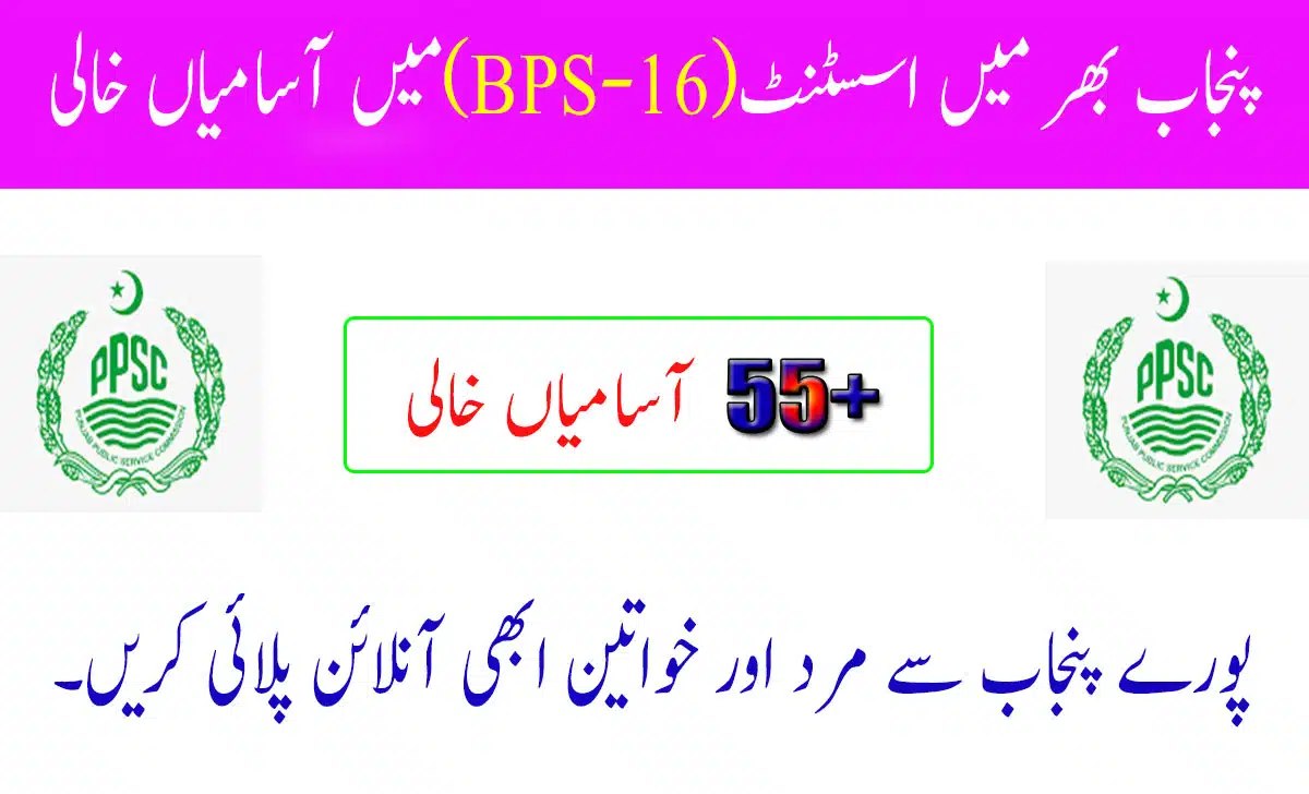 Punjab Govt Jobs for Assistants (BPS-16) - Apply Across Punjab Province
