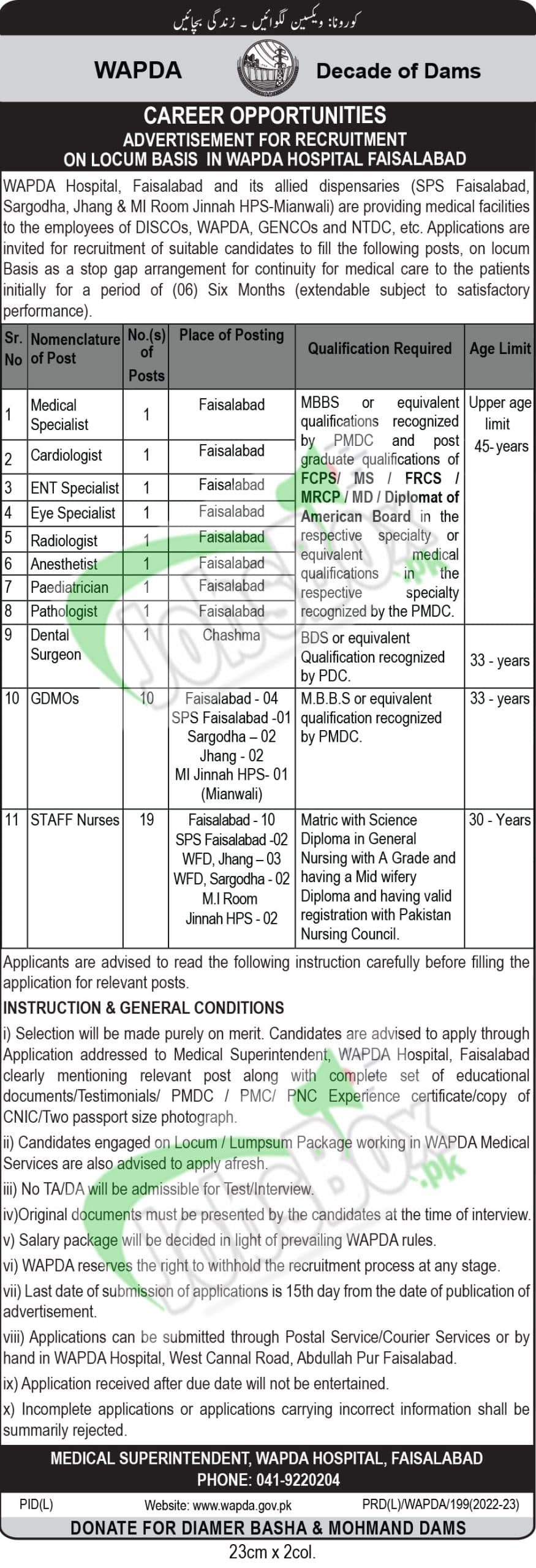 WAPDA Hospital Faisalabad Jobs February 2023 Download Employment Form