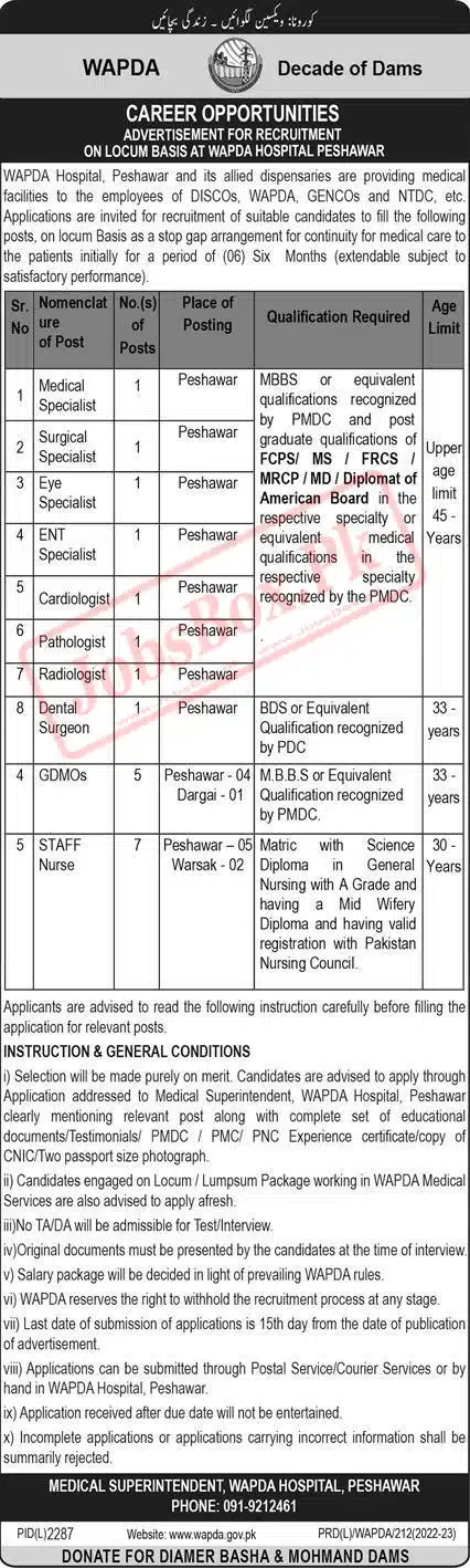 WAPDA Hospital Peshawar Jobs February 2023