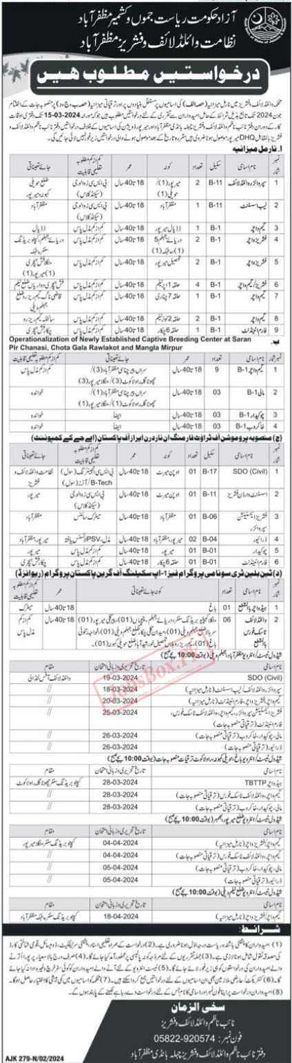 Wildlife and Fisheries Department AJK Jobs 2024