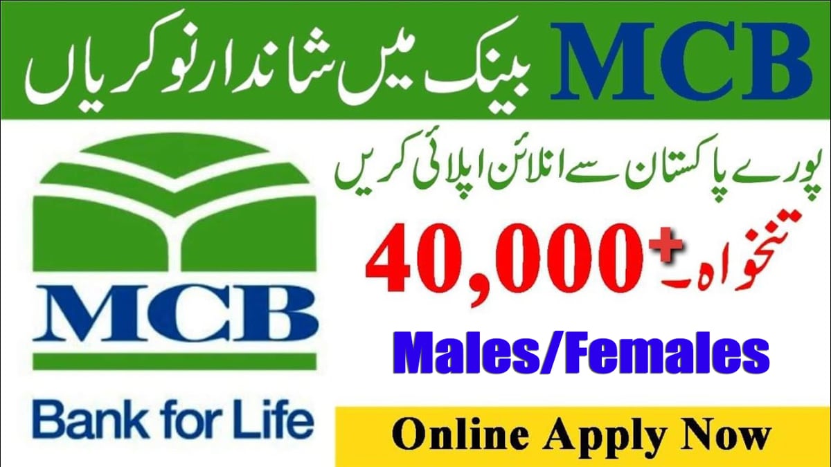 MCB Bank Recruitment of Branch Managers and Relationship Managers