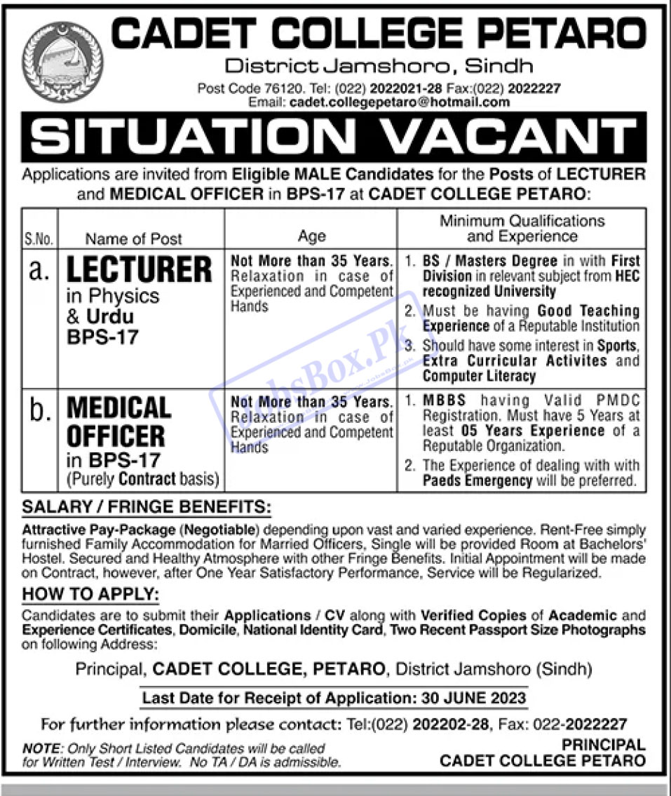 Cadet College Petaro Jamshoro Jobs 2023 Eligibility Criteria Details