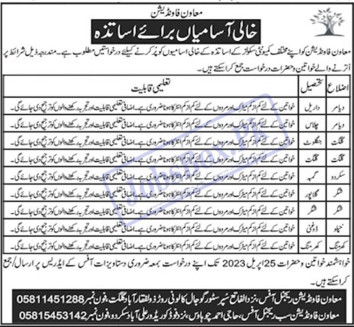 Moawin Foundation Schools Gilgit Baltistan Jobs 2023