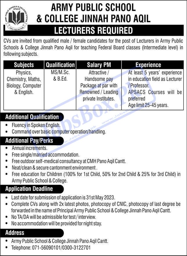 Army Public School and College Jinnah Pano Aqil Jobs 2023