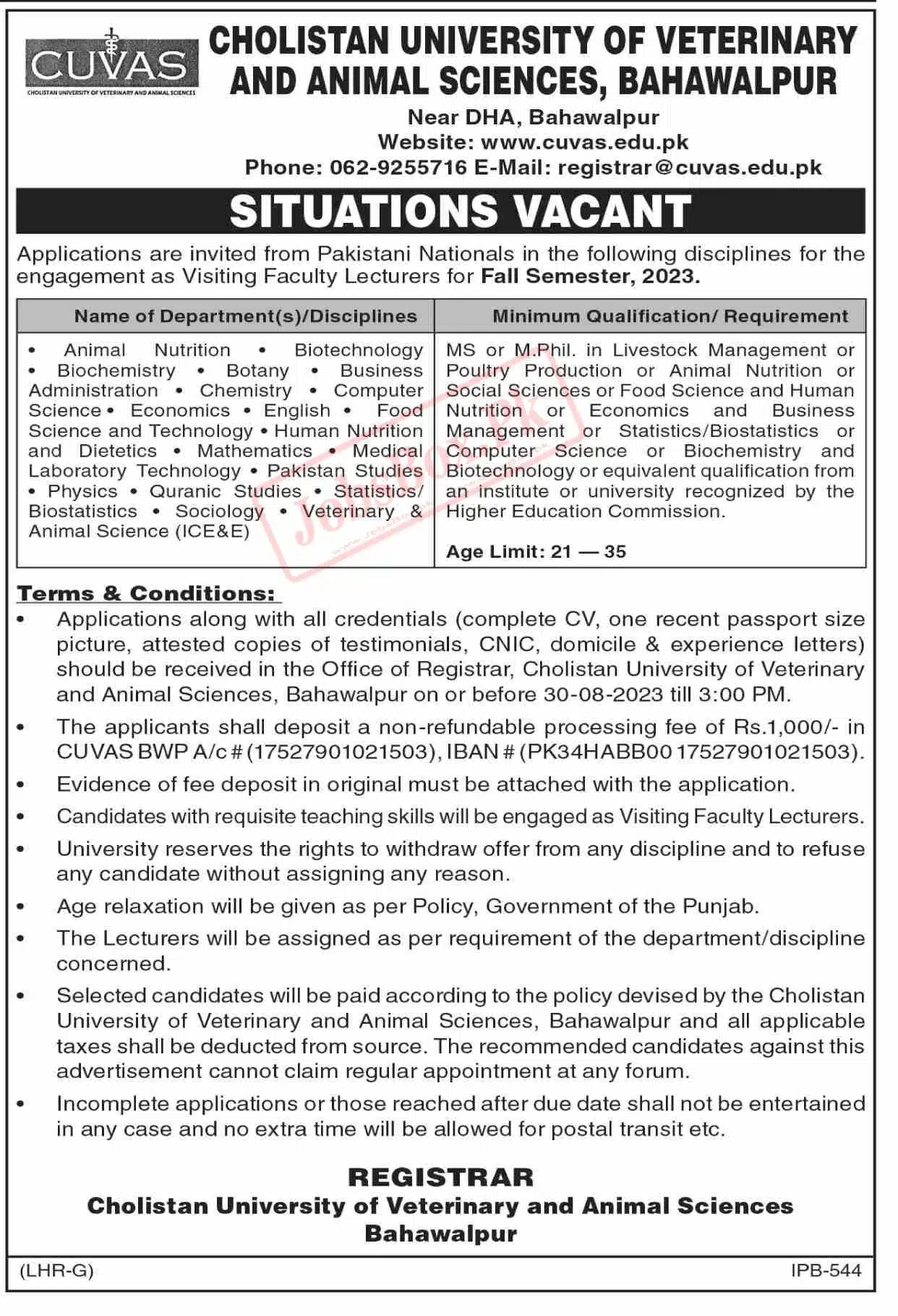 Cholistan University Bahawalpur Jobs 2023 Current Vacancies
