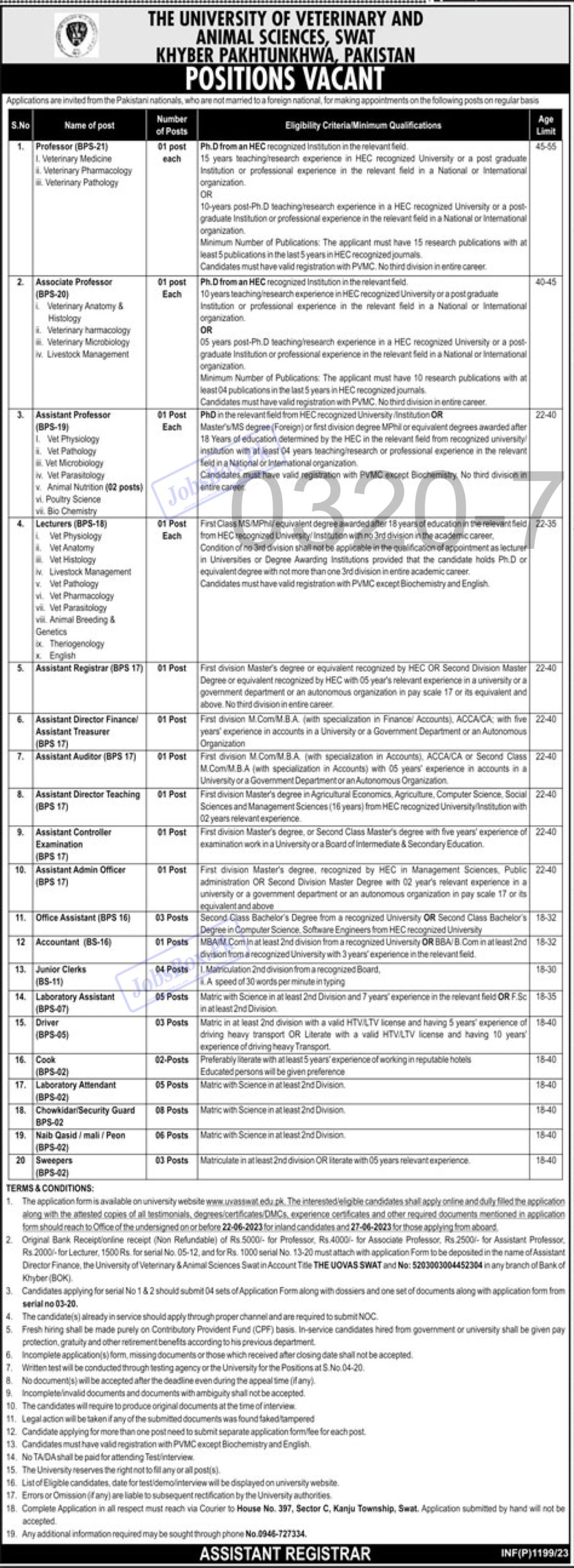 UVAS Swat Jobs 2023 - University of Veterinary and Animal Sciences