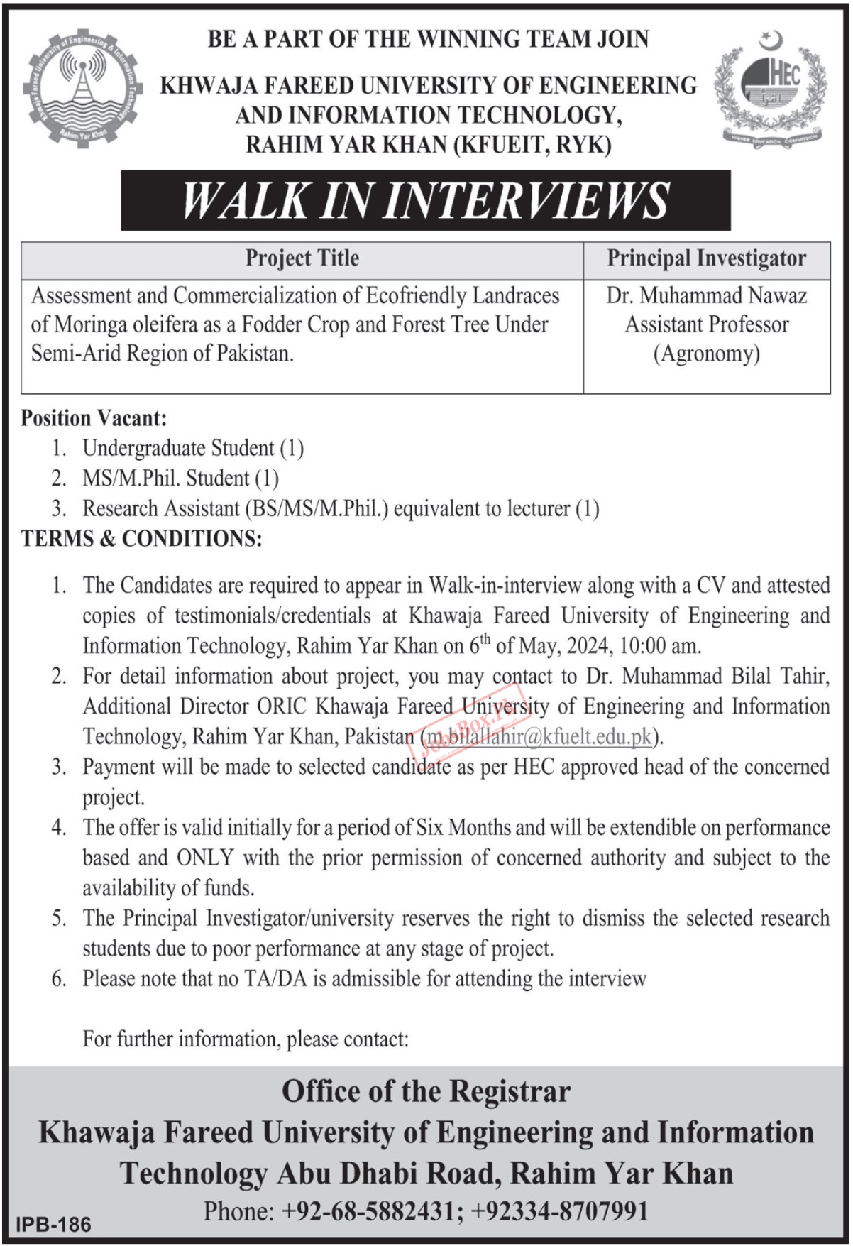 Khwaja Fareed UEIT Rahim Yar Khan Jobs 2024