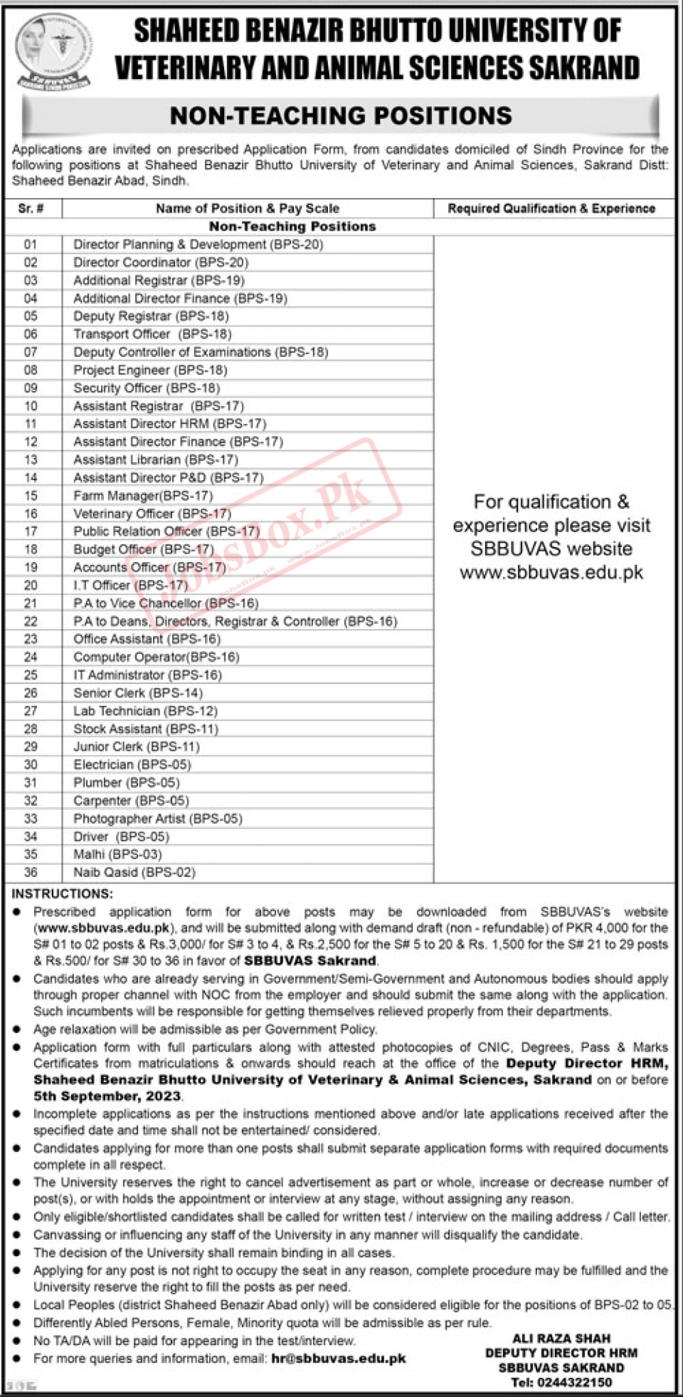 SBBUVAS Shaheed Benazirabad Jobs 2023