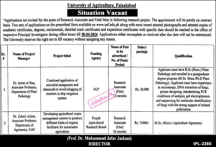 University of Agriculture Faisalabad Jobs 2024