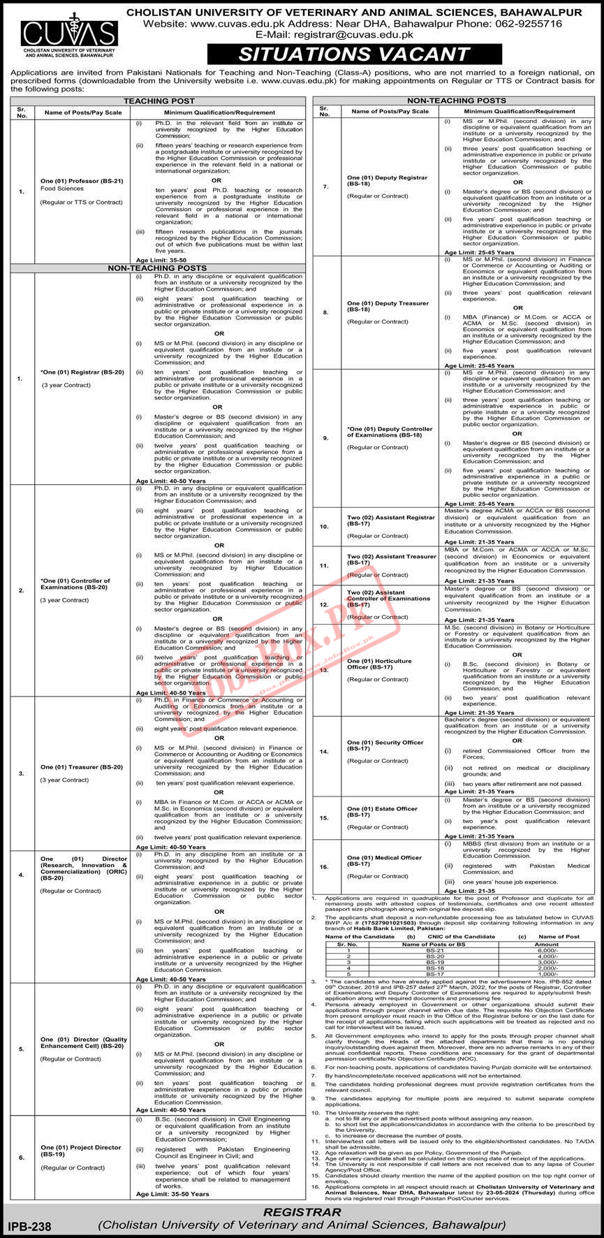 Cholistan University Bahawalpur Jobs 2024