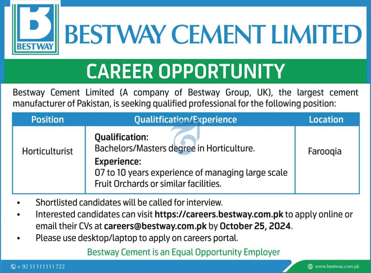 Bestway Cement Limited Jobs 2024